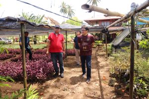 Taman Nursery Mapanget